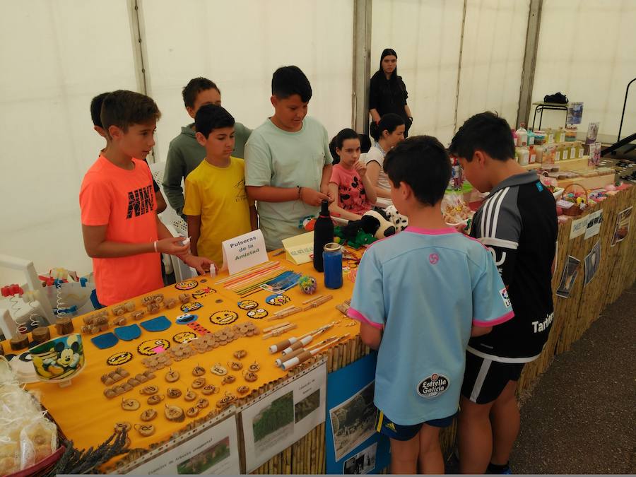 La capital del concejo de El Franco acoge este fin de semana una nueva edición de Artenatur, un certamen dedicado a los recursos naturales, el turismo y la cultura en el que se dan cita grandes y pequeños. 