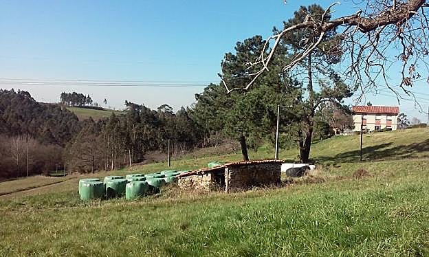 Terrenos adquiridos por la Protectora de Animales de Asturias en el núcleo rural de La Tabla. 