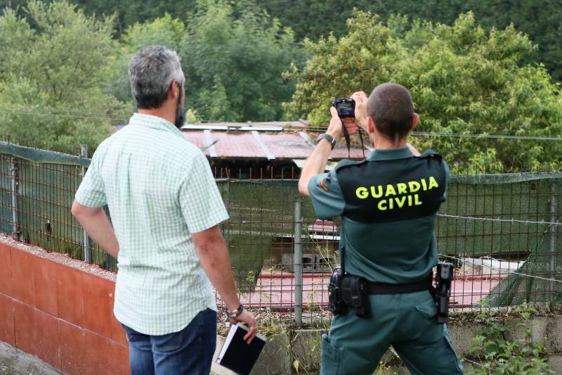 Evangelista C. D. no pudo superar las lesiones que le causaron los canes cuando accedió a la parcela en la que se encontraban para visitar a su propietario