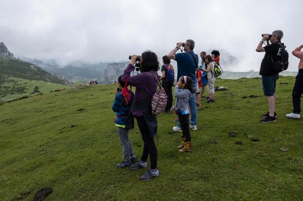 Los visitantes otean con los prismáticos el cielo de Picos en busca de quebrantahuesos. 