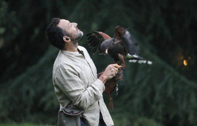 El público familiar no quiso perderse el vuelo de las aves rapaces que se exhibió en el jardín gijonés.