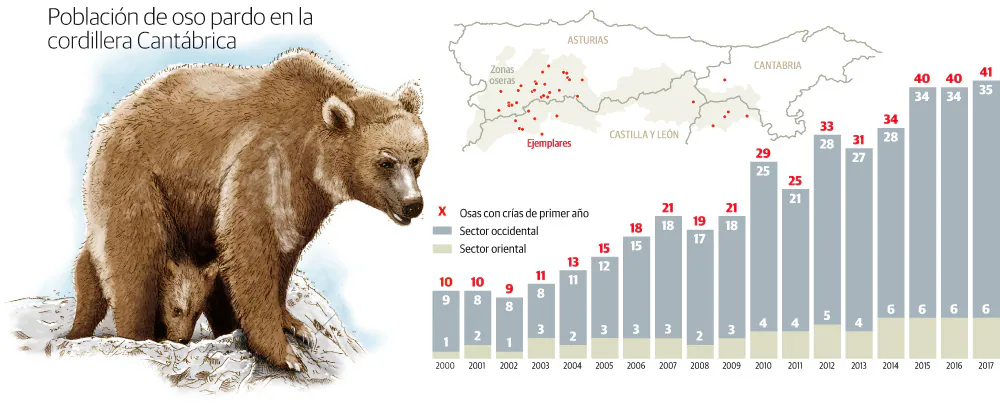Población de oso pardo en la Cordillera Cantábrica