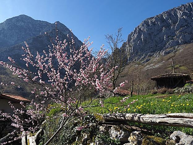 Ponga. Vista de uno de los rincones de la recién nombrada 'Reserva de la Biosfera'. 