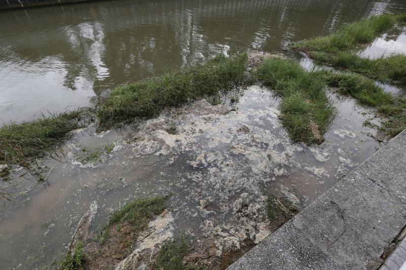 El vertido, procedente de Peñarrubia, no obligó a prohibir el baño en la costa