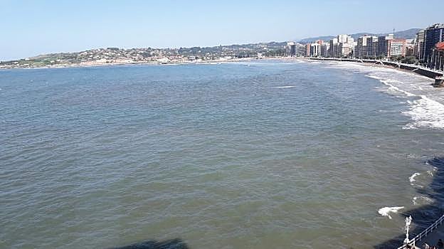Continúa el avistamiento de manchas en San Lorenzo