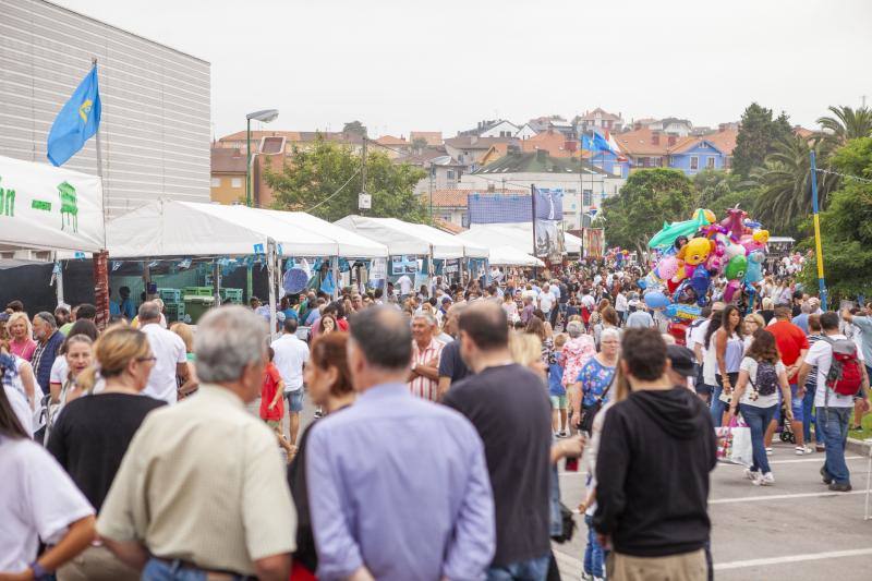 El Ayuntamiento propondrá la candidatura del evento a Fiesta de Interés Turístico Nacional. En esta edición se pusieron a la venta más de dos mil kilos de sardinas