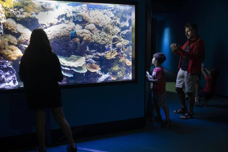 Más de 2.000 metros cúbicos de agua para recrear la vida en los ríos asturianos, la Costa Cantábrica, el Mar Caribe, los océanos Pacífico e Índico, Mar Rojo, el Océano Indico Africano, el Océano Atlántico Sur y el Océano Atlántico Subtropical.