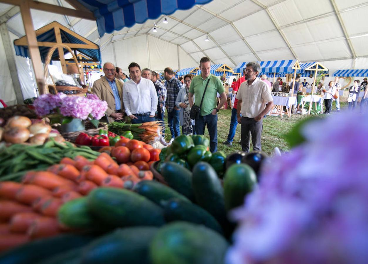 La Feria Agroalimentaria de Productos Ecológicos de Asturias (FAEPA) coincidirá con el 44 Concurso Exposición de Ganado Vacuno de Llanera, en el que se hará subasta, por primera vez, de veinticinco reses de las razas asturianas, y de una pareja de bueyes.