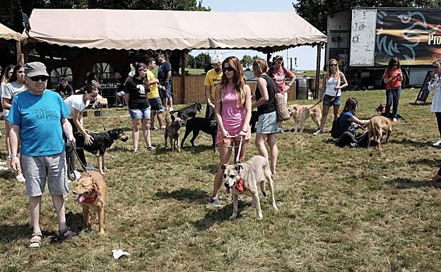 Las fiestas del barrio de Contrueces celebraron su primer desfile canino, muy bien acogido por los asistentes.