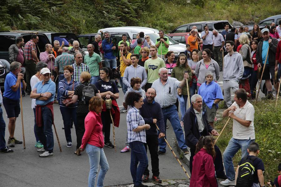 Centenares de ganaderos de la comarca oriental, hartos de los continuos ataques del lobo a sus animales, han cortado la carretera entre el aparcamiento de Obar y Poncebos para reclamar soluciones efectivas