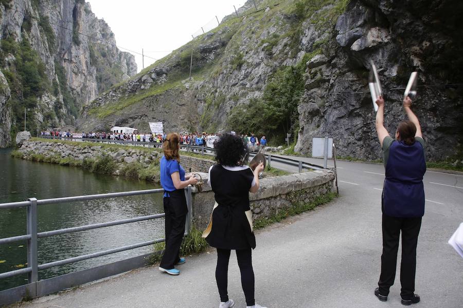 Centenares de ganaderos de la comarca oriental, hartos de los continuos ataques del lobo a sus animales, han cortado la carretera entre el aparcamiento de Obar y Poncebos para reclamar soluciones efectivas