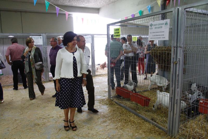 El 136º Certamen de Ganado de San Agustín exhibe seis centenares de reses en el pabellón de La Magdalena.