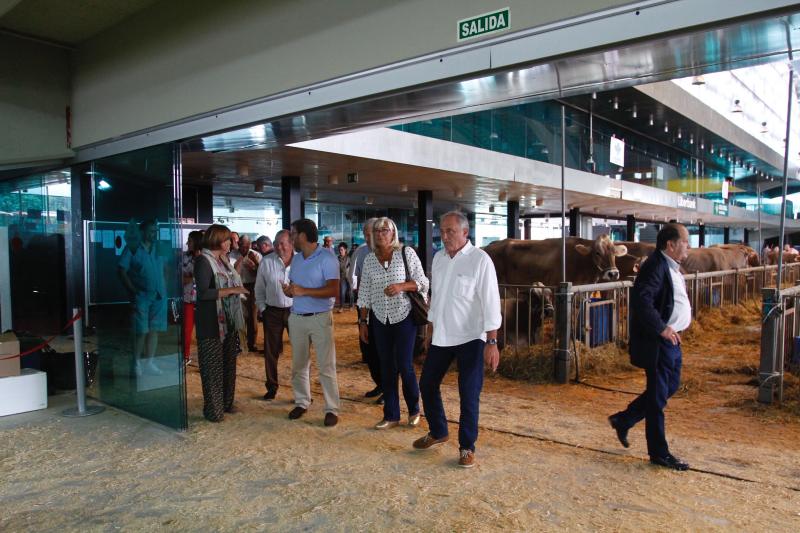 El 136º Certamen de Ganado de San Agustín exhibe seis centenares de reses en el pabellón de La Magdalena.