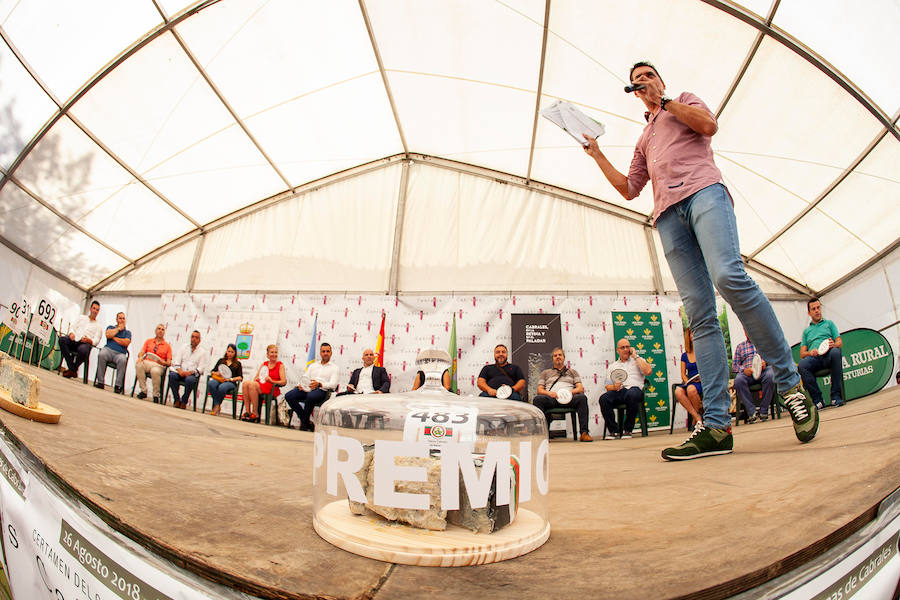 La pieza de la quesería Valfriu de Tielve se alzó como campeona del certamen, que alcanzó el precio más alto de todas sus ediciones. La cita congregó a numerosas personas