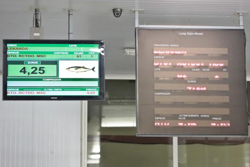 La subasta de más de 45.000 kilos de bonito en las rulas de Gijón y Avilés ha puesto fin a la campaña más corta de la historia. Cinco han sido los barcos que han desembarcado en Asturias, donde se ha alcanzado un precio máximo de nueve euros. 