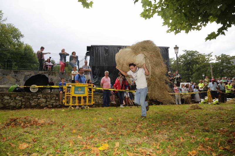 A pesar de la lluvia, decenas de personas disfrutaron en Benia de Onís de la Fiesta del Segador. Carrera de sacos, con madreñes y portando a las espaldas un 'sábanu' cargado de hierba fueron las modalidades de atletismo de esta ya clásica olimpiada veraniega de deporte rural en la que también se compitió en las especialidades de cabruñu, segado a guadaña y tiro de cuerda. 