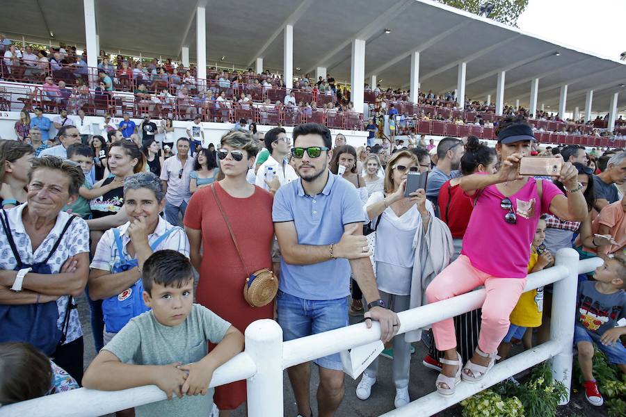 Fotos: ¿Estuviste en la cuarta jornada del CSIO? ¡Búscate!