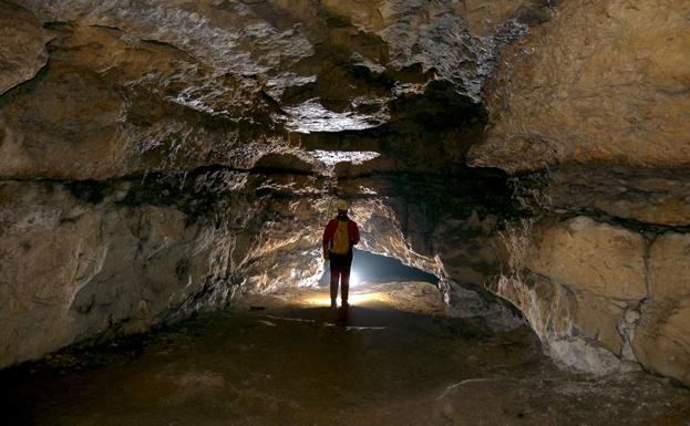 Cueva de Atxurra, donde se descubrieron en 2016 más de 70 grabados de animales del paleolitico superior 