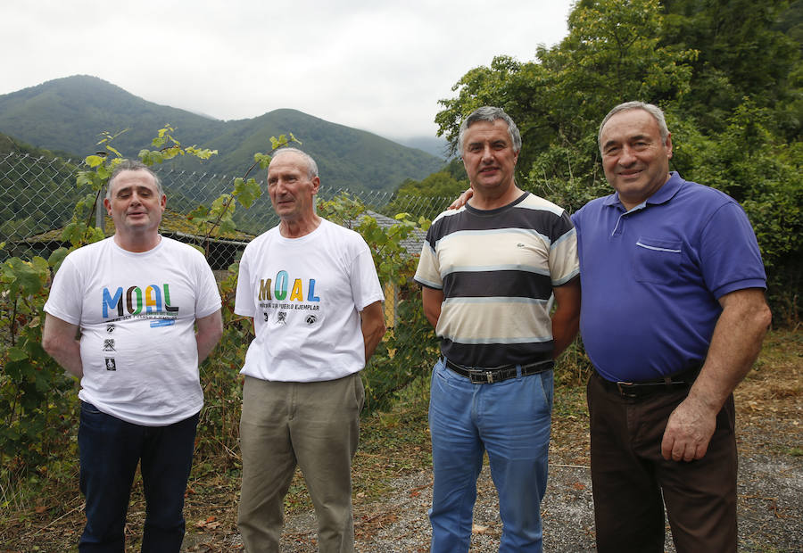 Los vecinos de esta localidad de Cangas del Narcea celebraron haber recibido esta distinción con champán y voladores. Un pueblo unido que con cerca de 90 habitantes cuenta con tres asociaciones, apuesta por el desarrollo rural y convive dentro del Parque Natural Fuentes del Narcea, Degaña e Ibias