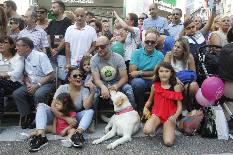 Fotos: ¿Estuviste en el desfile del Día de América en Asturias 2018? ¡Búscate!