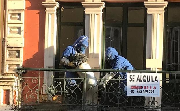 Los bomberos retiran un enjambre de abejas en La Muralla