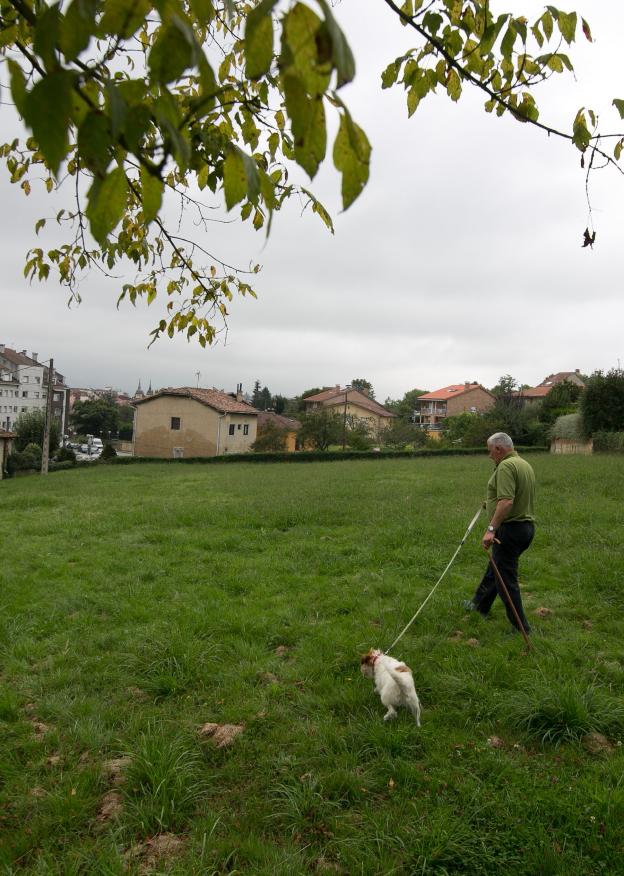 Vista de la zona donde estaba proyectado el parque canino. 