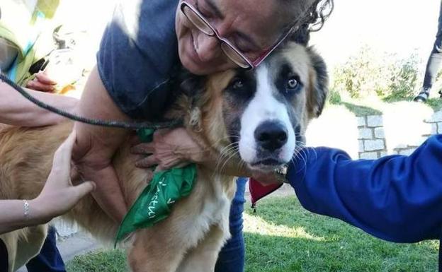 La dueña abraza a su mascota tras el rescate.