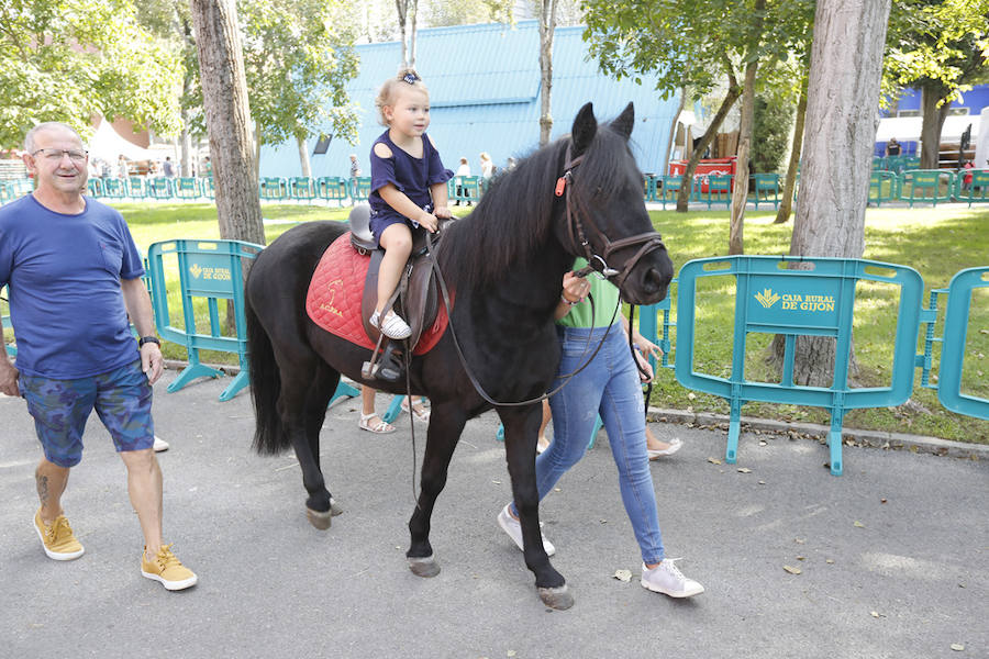 La feria del campo, que reúne mil animales y cientos de expositores, celebra el concurso de estas reses.