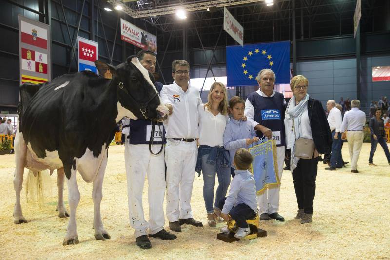 Las reses de la explotación gozoniega arrasa en el concurso de frisonas y la vaca 'Koketa' revalida el título del pasado año.
