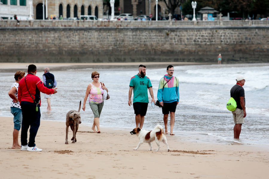 El arenal gijonés de San Lorenzo vuelve a estar disponible para los perros. Hasta el próximo 1 de mayo, podrán disfrutar de las aguas y de la arena entre las escaleras 2 y 8. 