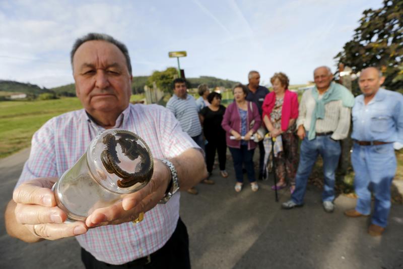 Los vecinos están hartos de tener que convivir con una plaga de la conocida como oruga defoliadora de gramíneas que está invadiendo los terrenos y los caminos de la zona