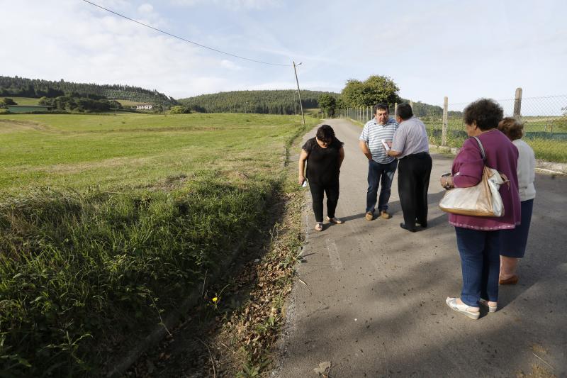 Los vecinos están hartos de tener que convivir con una plaga de la conocida como oruga defoliadora de gramíneas que está invadiendo los terrenos y los caminos de la zona
