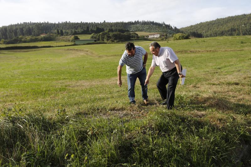 Los vecinos están hartos de tener que convivir con una plaga de la conocida como oruga defoliadora de gramíneas que está invadiendo los terrenos y los caminos de la zona