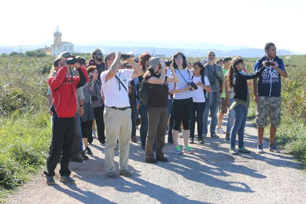 Un grupo observa aves. 