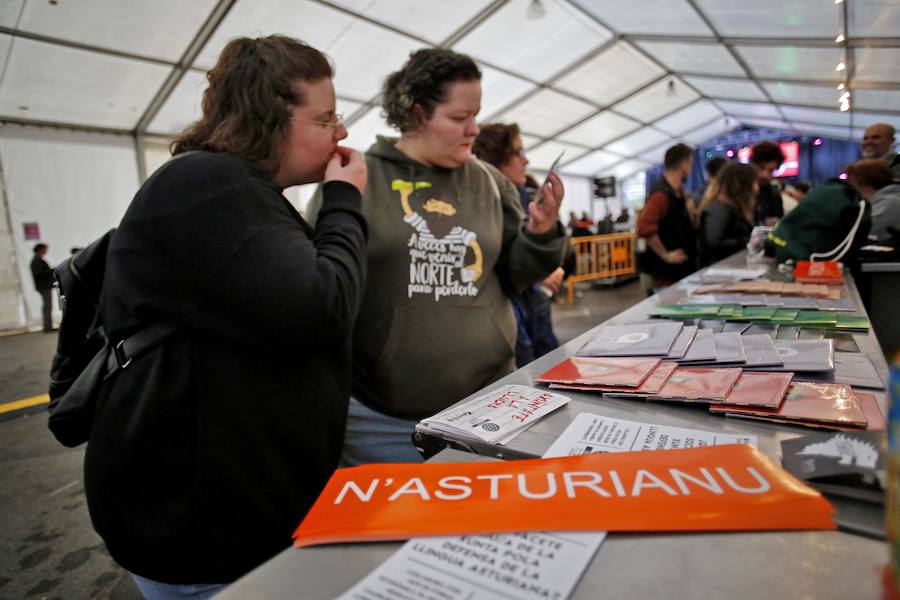 2.300 personas, según la organización, han disfrutado en el parque Hermanos Castro de Gijón del XXX Conciertu pola Oficialidá, una cita reivindicativa impulsada por la Xunta pola Defensa de la Llingua Asturiana que ha contado con la participación de Tejedor, Dixebra, L-R, y Skama la Rede, entre otros.