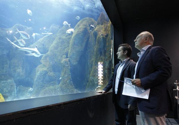 El director del Acuario, Alejandro Beneit, y el presidente de Rain Forest, José Maldonado, en el auditorio del equipamiento. 