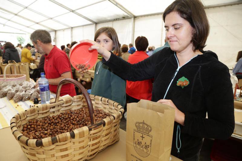 El Festival de la Avellana reunió esta mañana en Infiesto a un total de 64 cosecheros que pusieron a la venta más de cuatro toneladas del fruto. Las ventas marcharon a buen ritmo a lo largo de la jornada y muchos de los asistentes agotaron existencias. A pesar del mal tiempo, el recinto instalado en la capital piloñesa fue un hervidero de público.