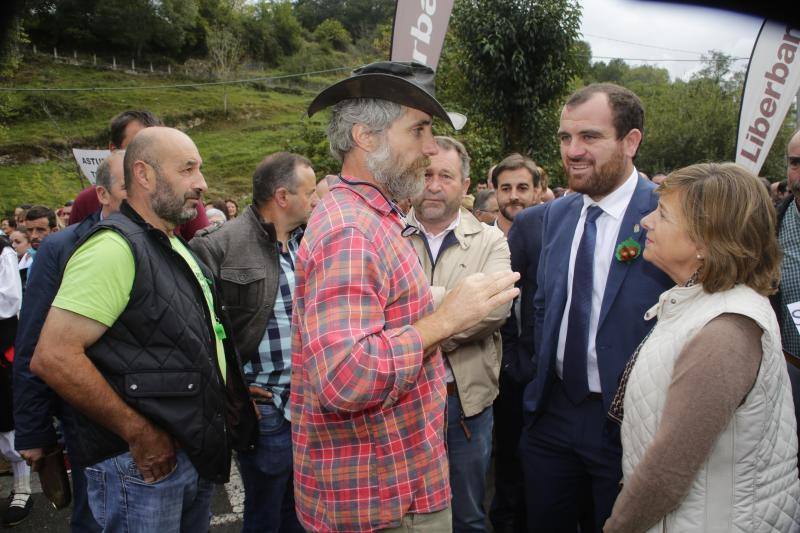 Ganaderos del centro y Oriente de Asturias se han manifestado en Infiesto, donde se celebraba el Festival de la Avellana, contra la expansión del lobo. El colectivo ha pedido la dimisión de los consejeros de Medio Ambiente y Medio Rural, Fernando Lastra y María Jesús Álvarez. 