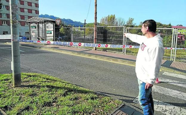 Una avispa asiática pica en la cabeza a un vecino de la Pola