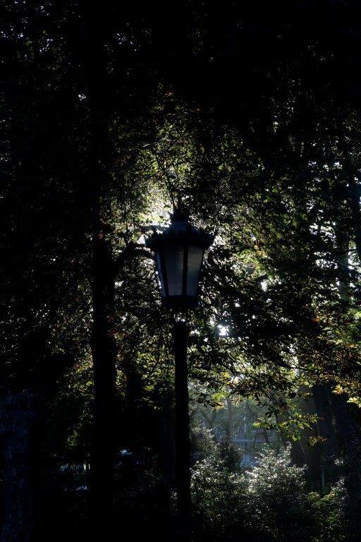 Ha llegado para quedarse... hasta diciembre, y ofrecernos unas espectaculares imágenes monocolor. Rincones bucólicos más propios de sueños de que despertares. Melancolía asturiana en verde y ocre.