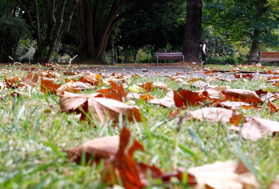 Ha llegado para quedarse... hasta diciembre, y ofrecernos unas espectaculares imágenes monocolor. Rincones bucólicos más propios de sueños de que despertares. Melancolía asturiana en verde y ocre.