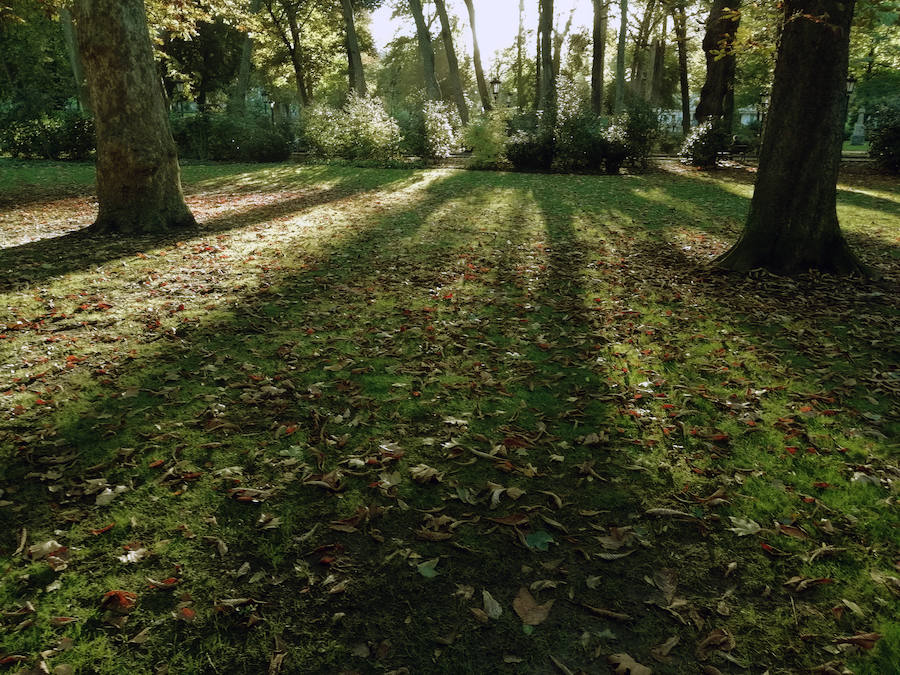 Ha llegado para quedarse... hasta diciembre, y ofrecernos unas espectaculares imágenes monocolor. Rincones bucólicos más propios de sueños de que despertares. Melancolía asturiana en verde y ocre.