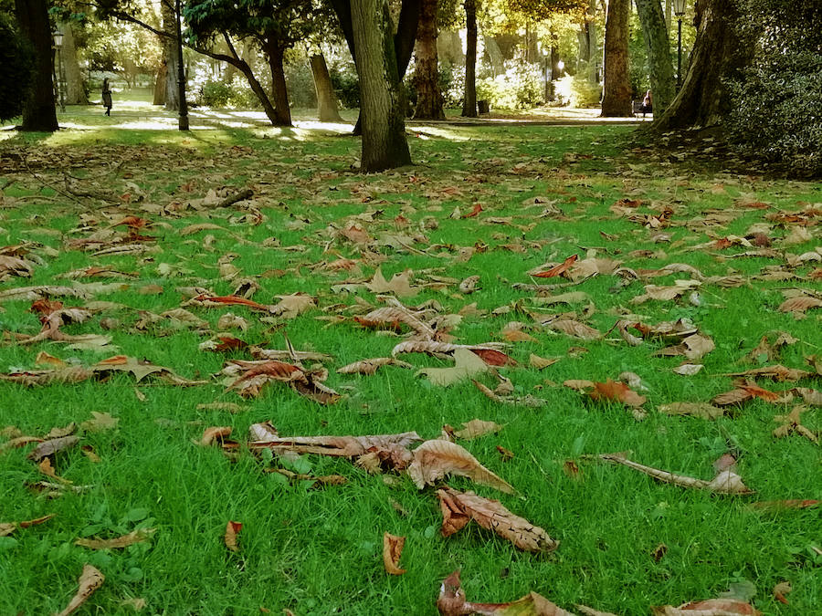 Ha llegado para quedarse... hasta diciembre, y ofrecernos unas espectaculares imágenes monocolor. Rincones bucólicos más propios de sueños de que despertares. Melancolía asturiana en verde y ocre.