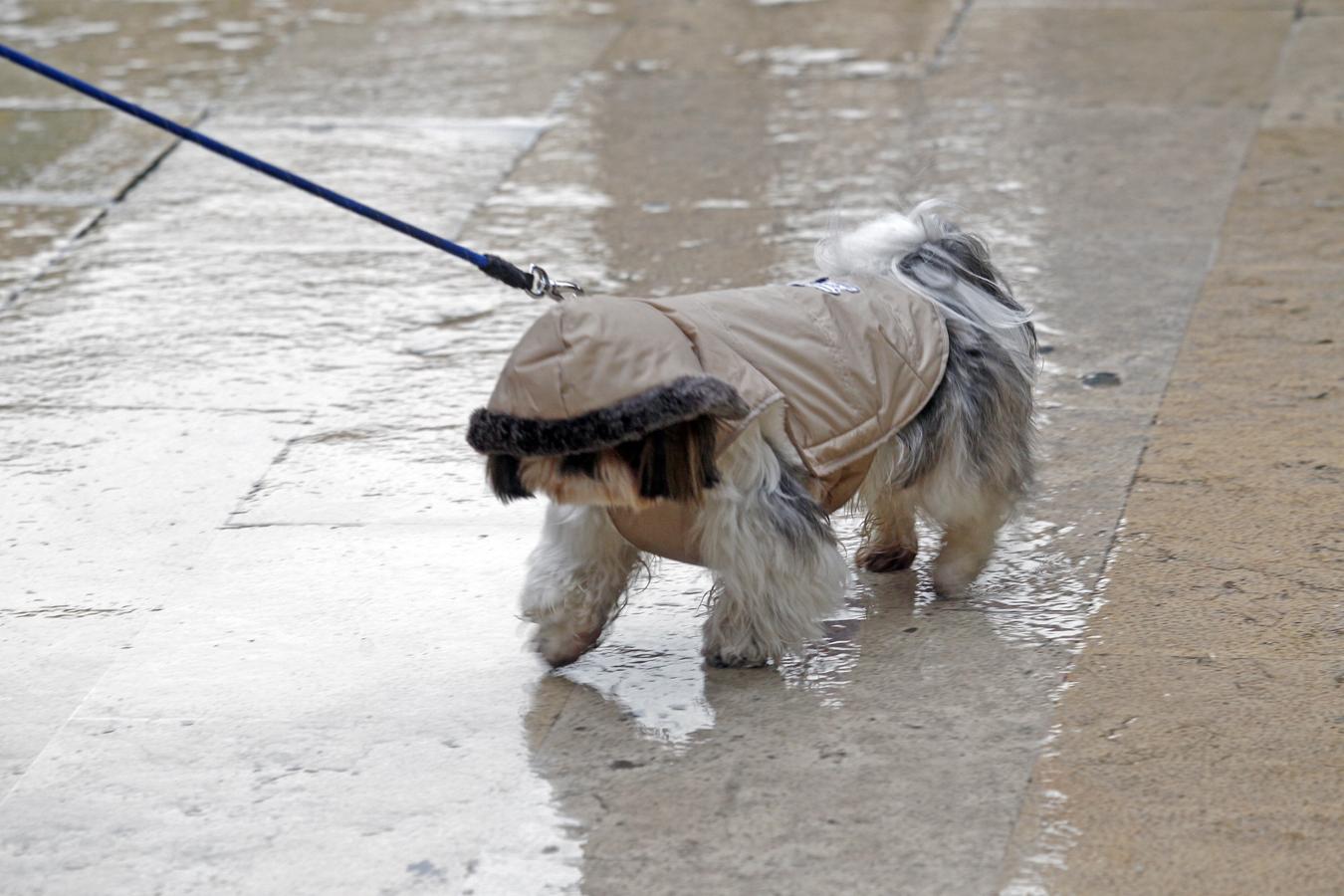 Oviedo ha sido uno de los cincos municipios que más lluvia ha acumulado en Asturias
