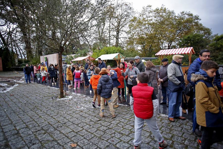 Unas 600 personas se citaron en el jardín gijonés para disfrutar de sus 'Encuentros inquietantes' para celebrar Halloween.