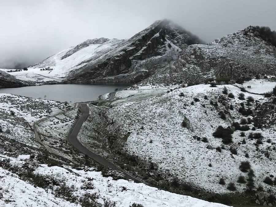 La ola de frío ha llegado a Asturias y ha cubierto las zonas de alta montaña de la región de blanco con las primeras nevadas