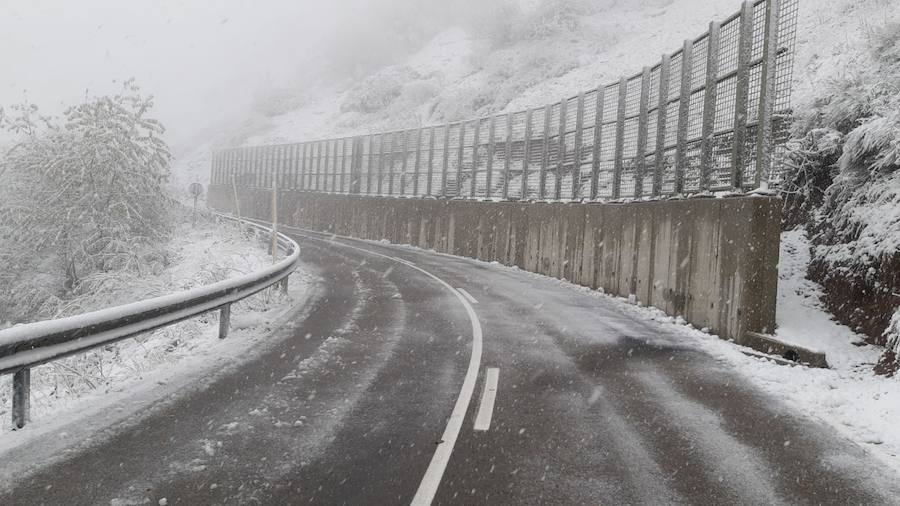 La ola de frío ha llegado a Asturias y ha cubierto las zonas de alta montaña de la región de blanco con las primeras nevadas
