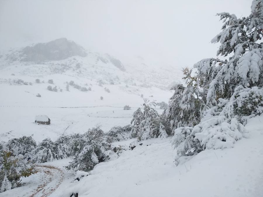 La ola de frío ha llegado a Asturias y ha cubierto las zonas de alta montaña de la región de blanco con las primeras nevadas