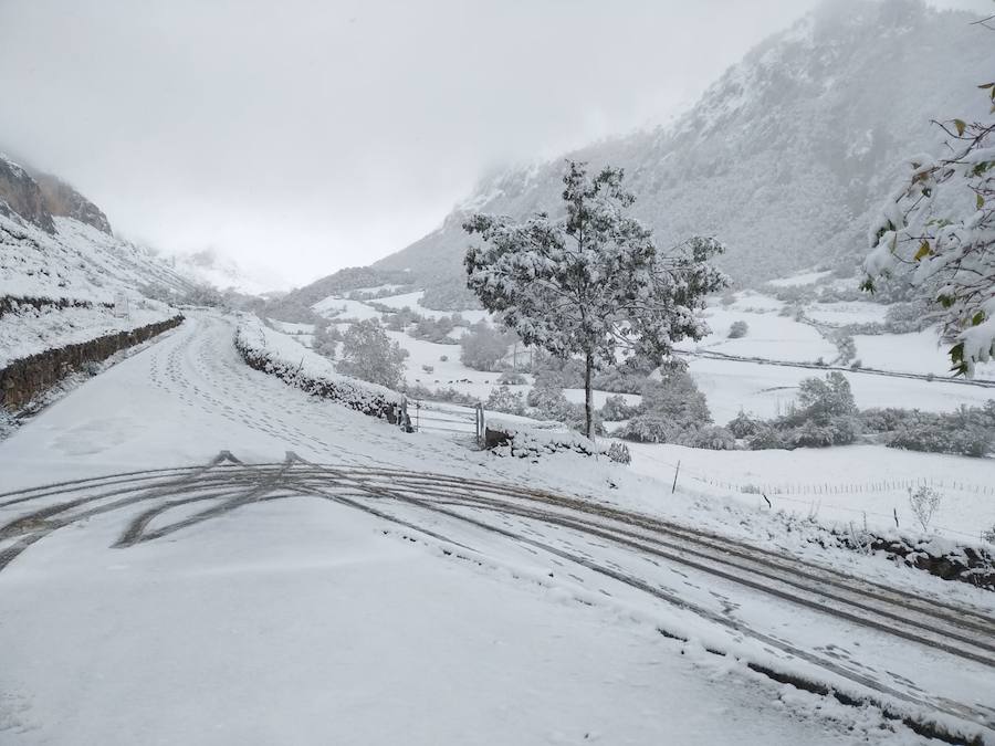 La ola de frío ha llegado a Asturias y ha cubierto las zonas de alta montaña de la región de blanco con las primeras nevadas