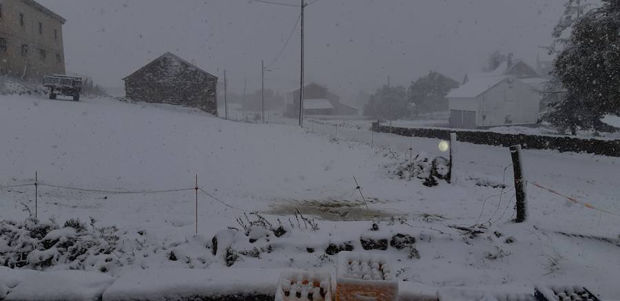 La ola de frío ha llegado a Asturias y ha cubierto las zonas de alta montaña de la región de blanco con las primeras nevadas